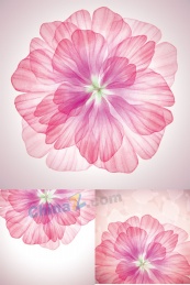 粉色花瓣矢量设计素材