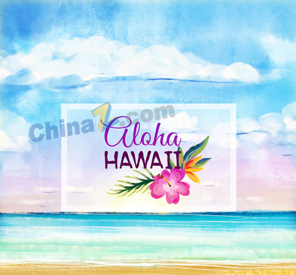 彩绘夏威夷大海和花卉矢量矢量下载