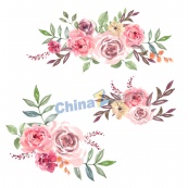 水彩绘花卉元素矢量