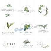 绿色植物装饰标签设计