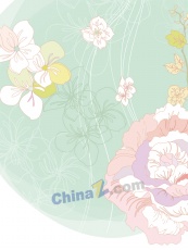 牡丹花卉国风插画设计