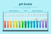 炫彩ph标度信息图矢量