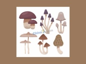 各种蘑菇合集矢量模板