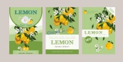 绿色清新柠檬产品包装设计矢量