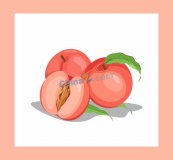 手绘桃子水果矢量素材