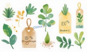 手绘绿色有机植物标签合集矢量