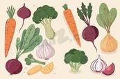 健康有机蔬菜食材合集矢量素材