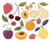 春季水果食材合集矢量素材
