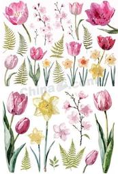 水彩春日花卉枝叶合集矢量素材