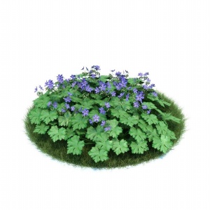 绿色植物3D模型素材
