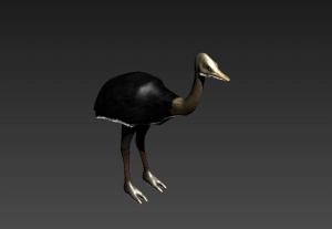 鸵鸟3D模型