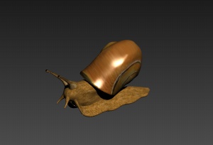 蜗牛3D模型效果图