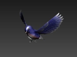鸟3D模型素材
