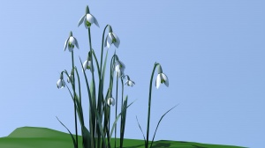 水仙花3D模型