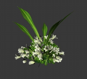 花卉植物3D模型设计