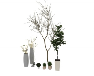 盆栽植物模型设计