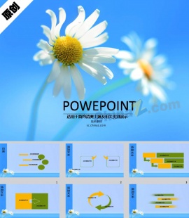 太阳花ppt模板下载