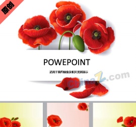 罂粟花ppt模板下载
