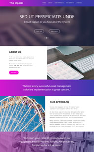紫色大气设计网站模板