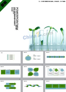 试管蔬菜养殖ppt模板下载