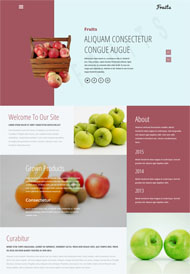 新鲜水果O2O线上卖场网站模板