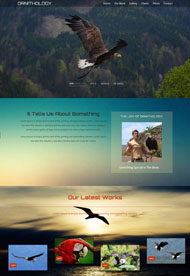 大鹏展翅动物网站模板