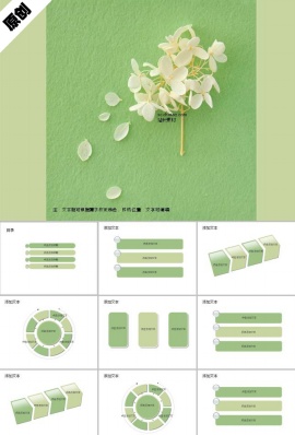 绿色清新淡雅ppt模板下载