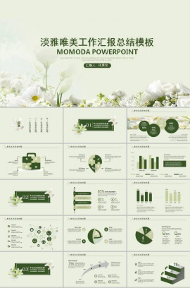 淡雅唯美工作总结汇报ppt模板