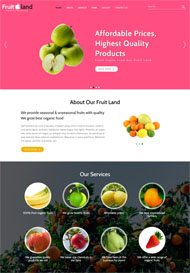 新鲜水果网站销售模板