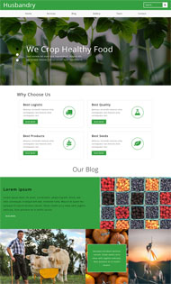 绿色有机水果网站模板