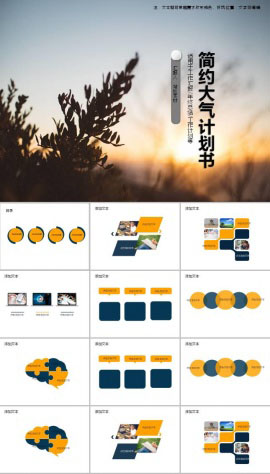简约大气通用简洁计划书ppt模板