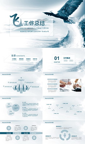 展翅飞翔年终工作总结PPT模板