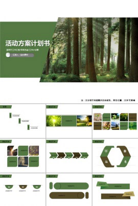 唯美绿色系活动方案计划书PPT模板