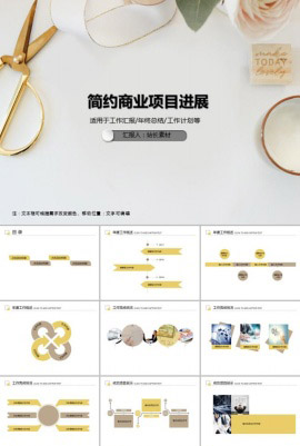 简约商业项目进展PPT模板