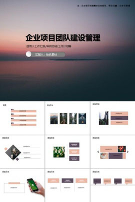 企业项目团队建设管理PPT模板