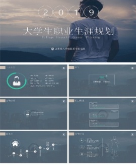 稳重大学生职业生涯规划PPT模板