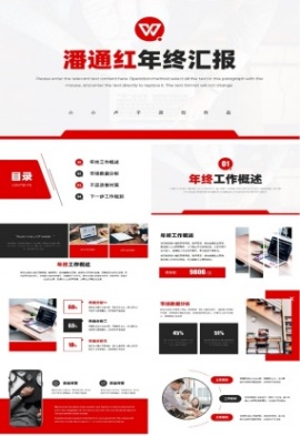 潘通红年终汇报ppt模板