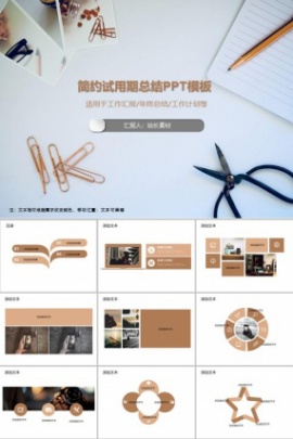 简约试用期总结PPT模板