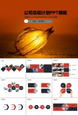 公司总结计划PPT模板