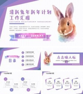 清新兔年新年计划汇报ppt模板