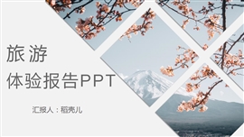 旅游体验报告ppt模板