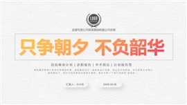 新拟态述职报告工作计划总结ppt模板