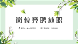 岗位竞聘述职报告ppt模板