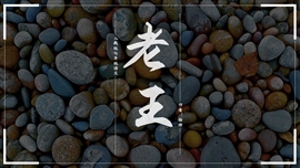 初中语文老王ppt教学课件