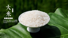 粒粒饱满大有机大米ppt模板