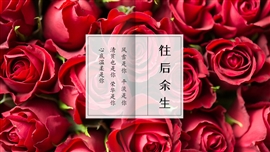 带表白内容婚礼相册情人节ppt模板