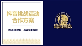利用抖音平台进行营销推广活动方案PPT模板