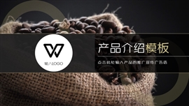 产品介绍项目融资PPT模板