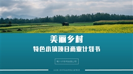 乡村振兴美丽乡村旅游计划书PPT模板
