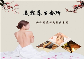 美容养生会所介绍保健主题PPT模板